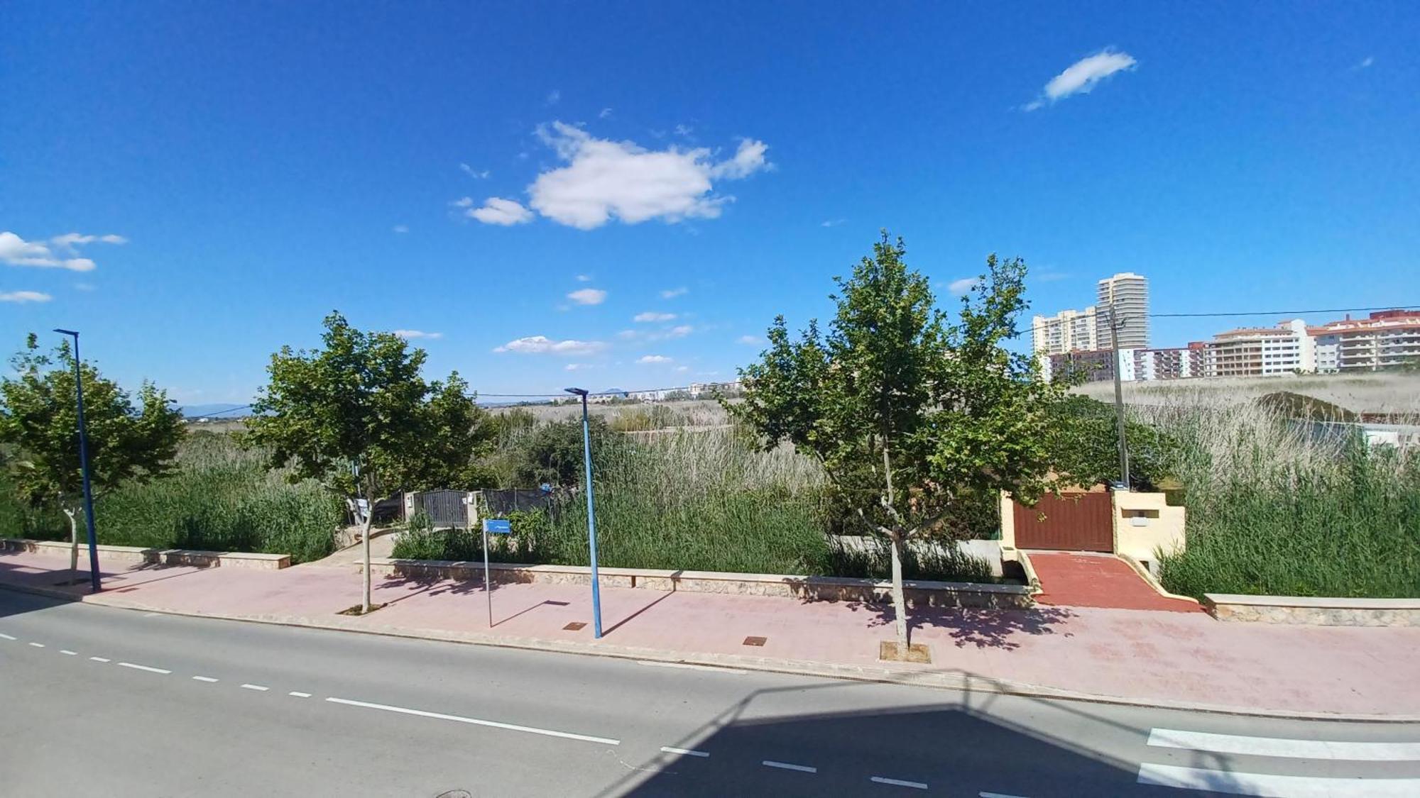 Azahares Vista Parque Orangecosta Lägenhet Peñíscola Exteriör bild